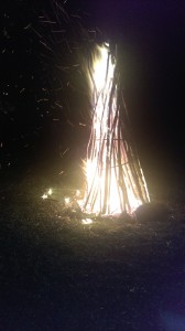 IMAG0178